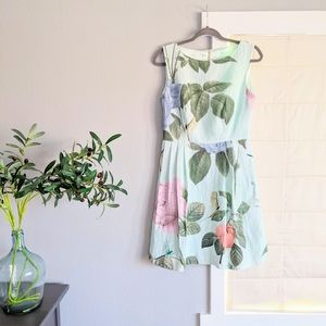 Ted Baker Mint Floral Leaf Hummingbird Print Dress Eleta 6